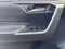 2024 Toyota RAV4 XLE AWD (Natl)