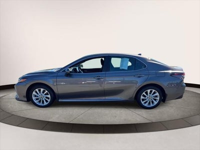 2023 Toyota Camry LE Auto (Natl)