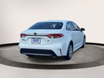 2023 Toyota Corolla LE CVT (Natl)