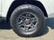 2024 Toyota 4Runner TRD Pro 4WD (Natl)