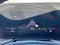 2025 Audi Q5 2.0T Premium Plus