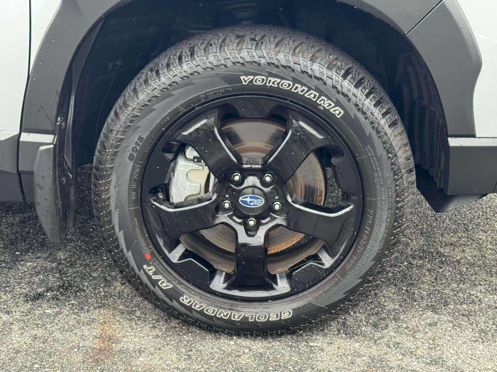 2025 Subaru Forester Wilderness CVT