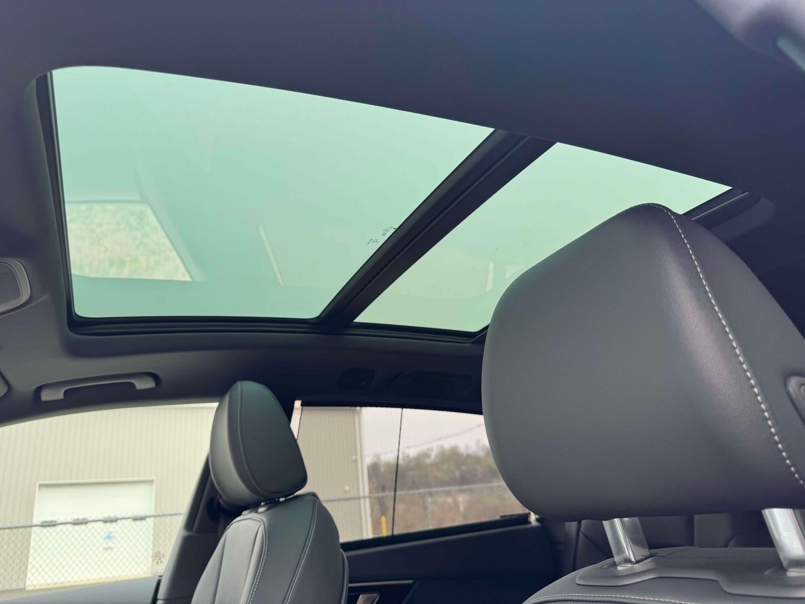 2026 Audi Q8 Premium Plus