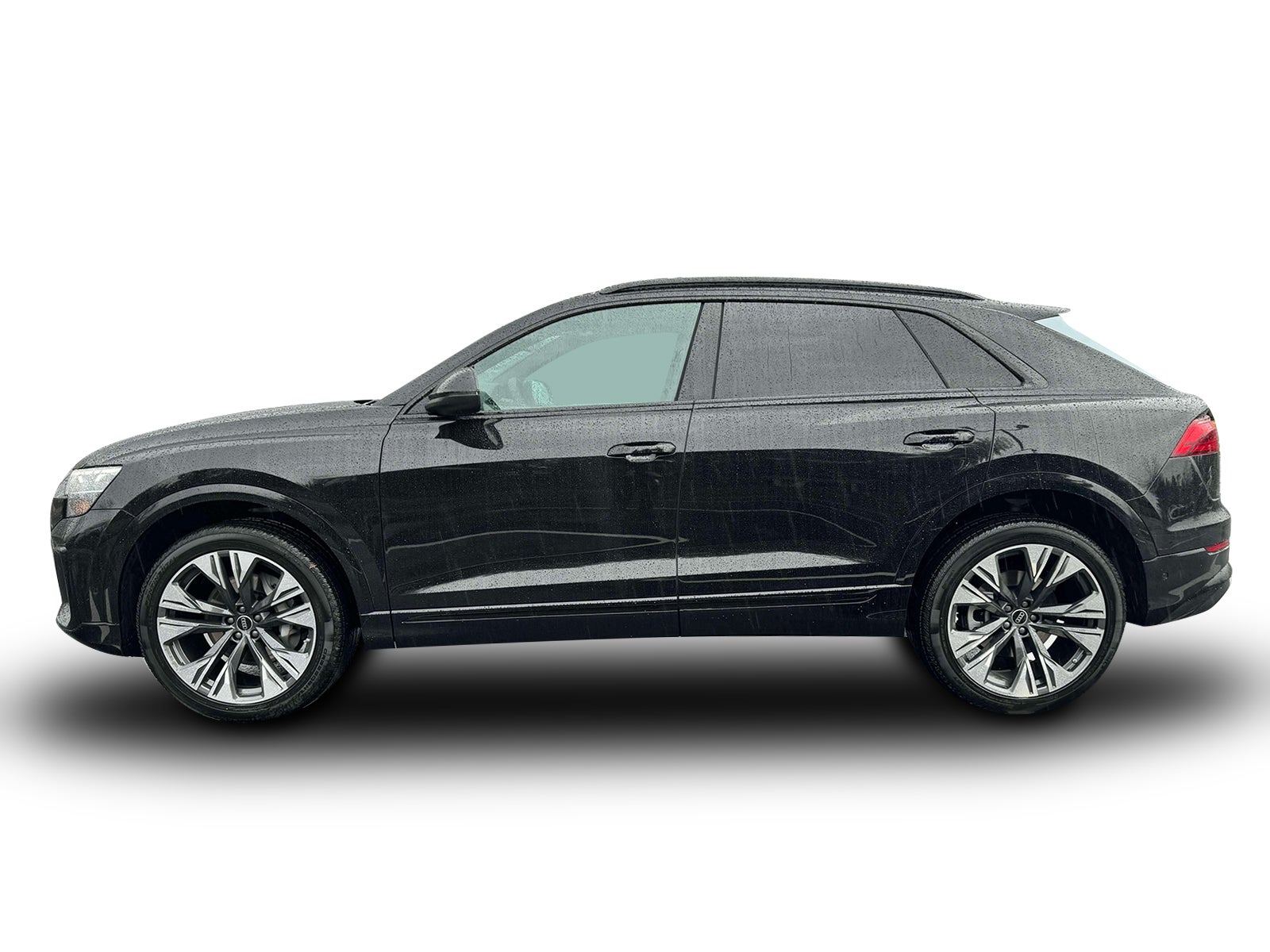 2025 Audi Q8 Premium Plus