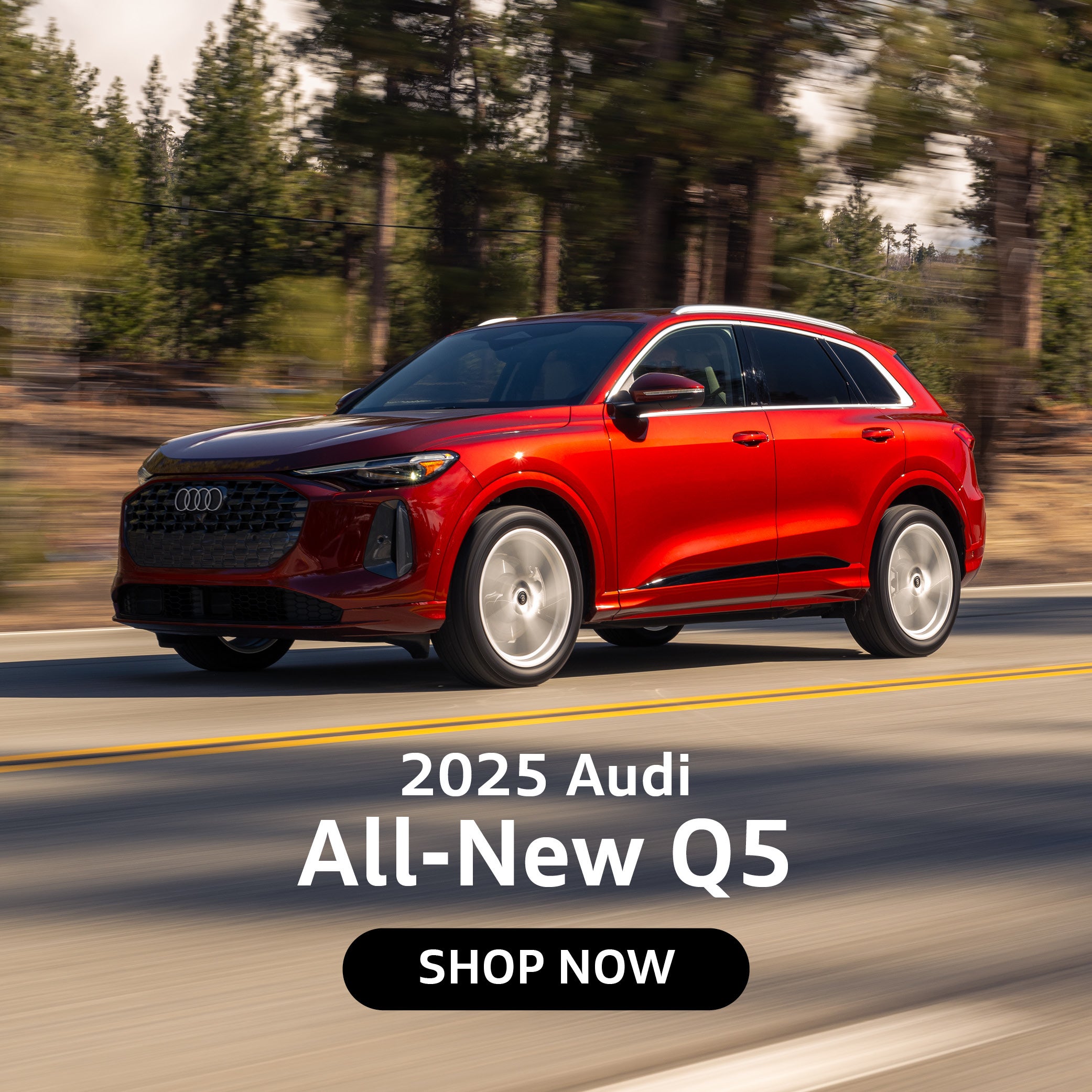 2025 Audi All-New Q5