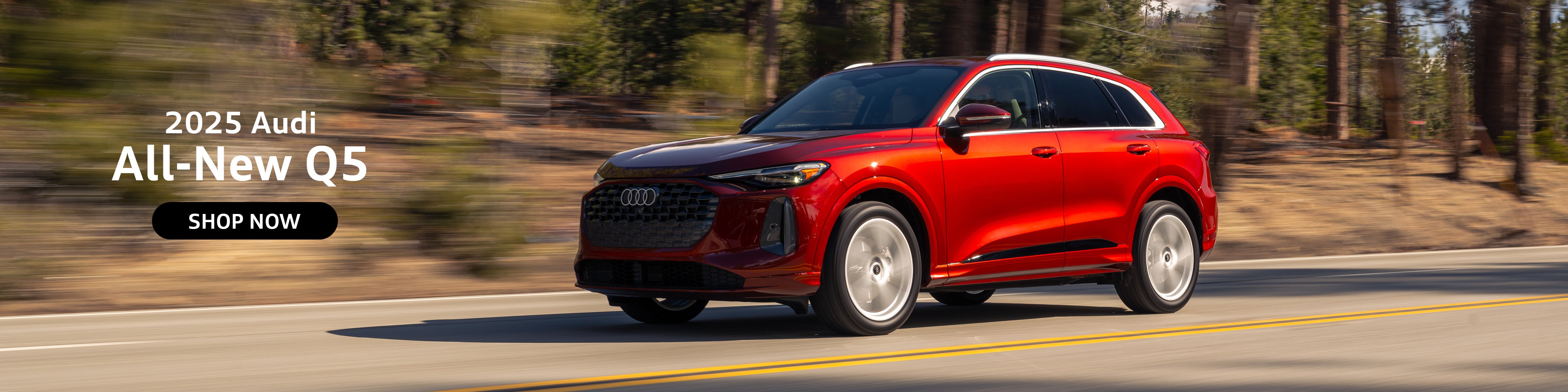 2025 Audi All-New Q5